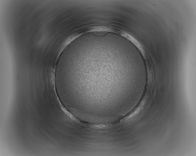 X0000116581049200912171520