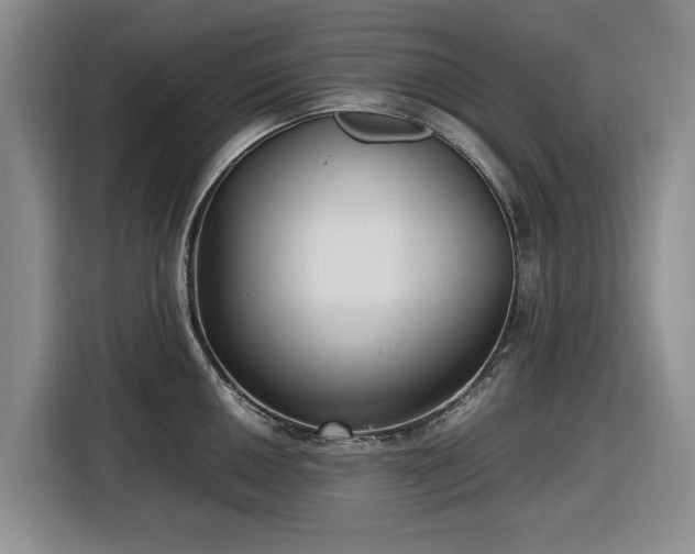 X0000116581050200912171520