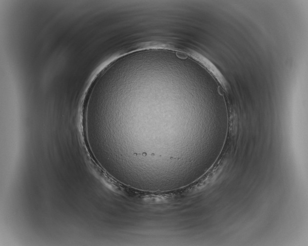 X0000116581051200912171520