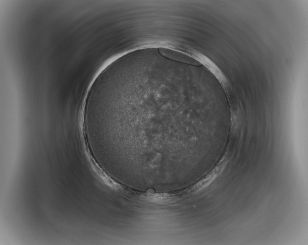 X0000116581052200912171520