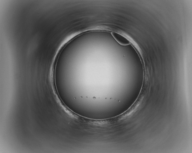 X0000116581053200912171520