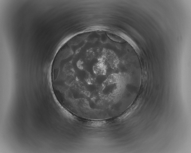 X0000116581055200912171520