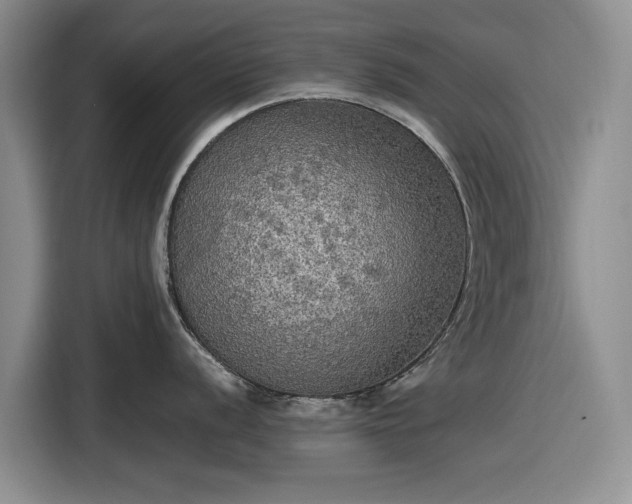 X0000116581056200912171520