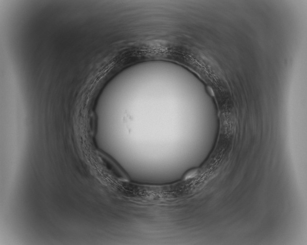 X0000116581057200912171519