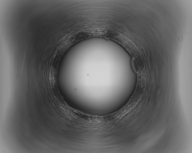 X0000116581058200912171519