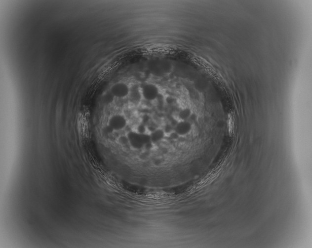 X0000116581059200912171519