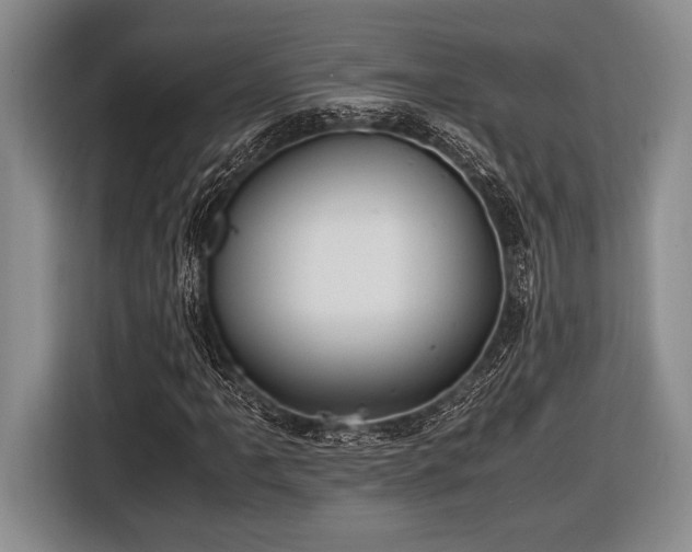 X0000116581061200912171519