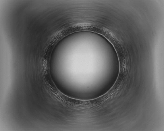 X0000116581062200912171519