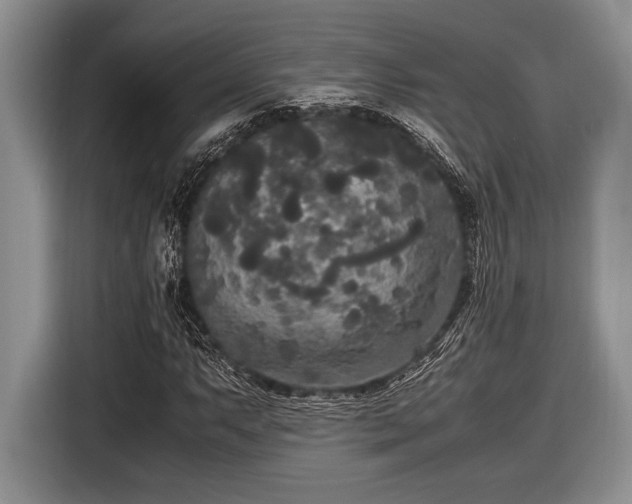 X0000116581063200912171519