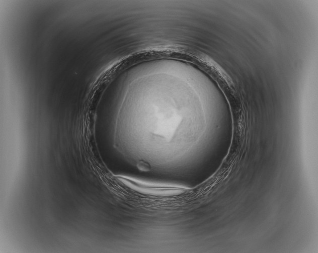 X0000116581064200912171519