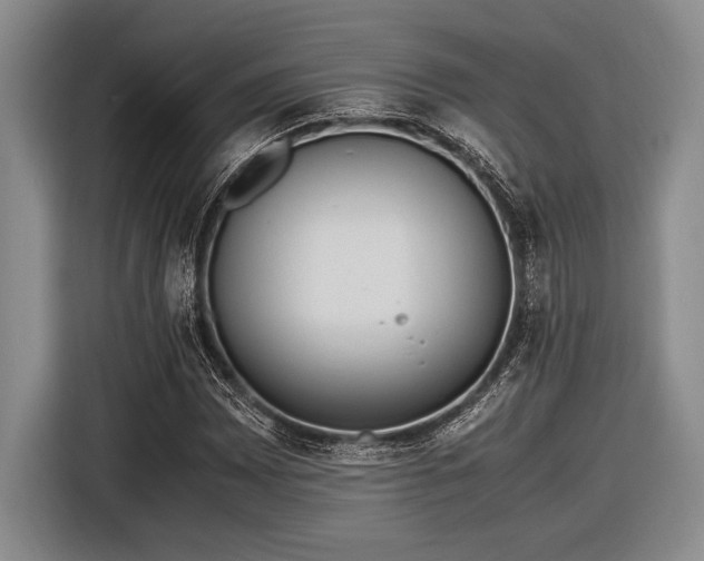 X0000116581065200912171519