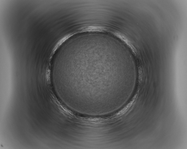 X0000116581066200912171519