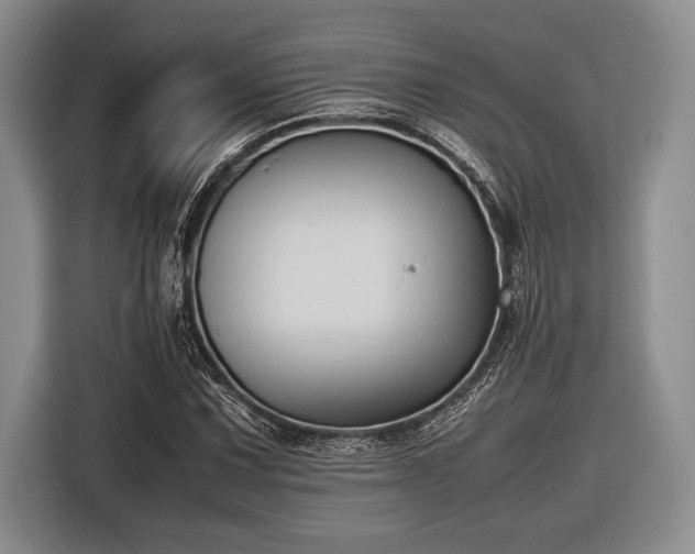 X0000116581067200912171519