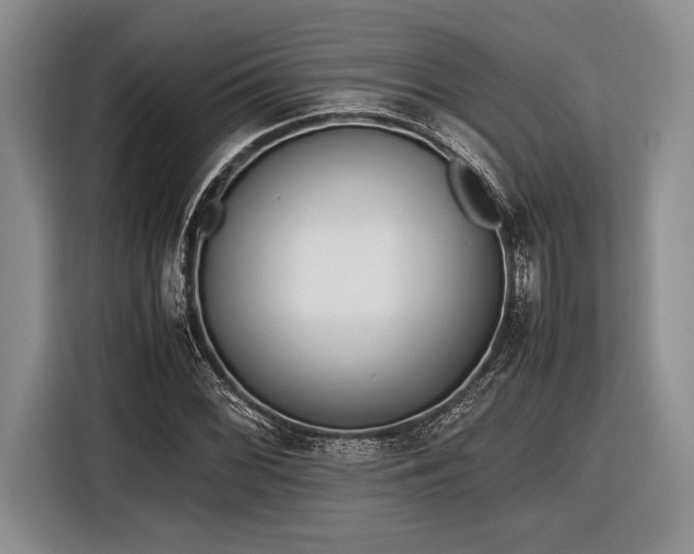 X0000116581068200912171519