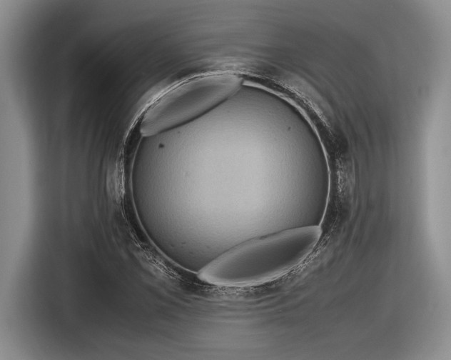 X0000116581069200912171519