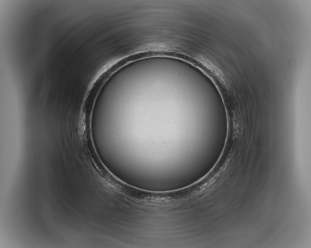 X0000116581070200912171519