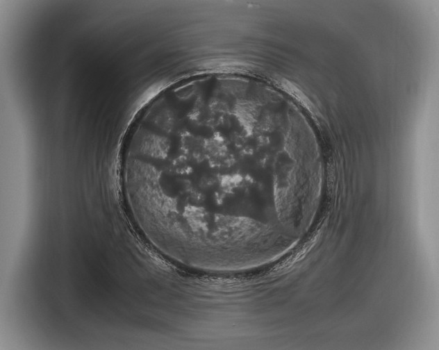 X0000116581071200912171519