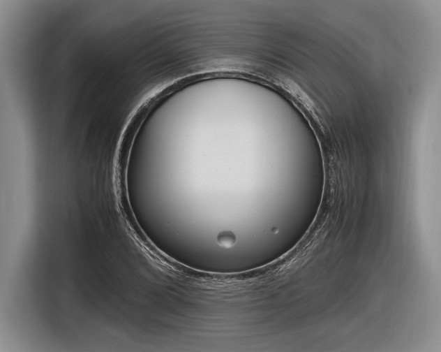 X0000116581072200912171519