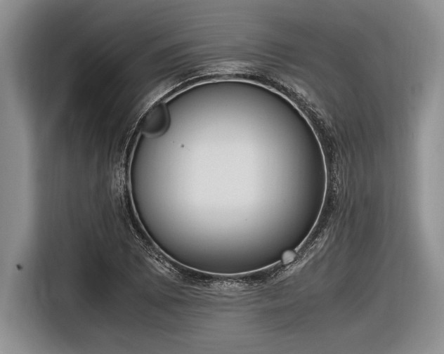 X0000116581073200912171519