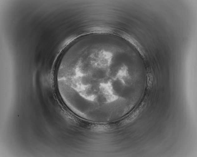 X0000116581074200912171519