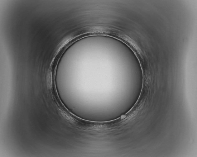 X0000116581075200912171519