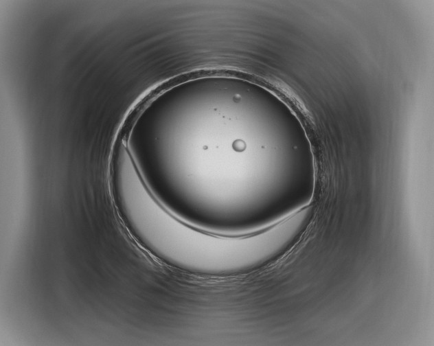 X0000116581076200912171519