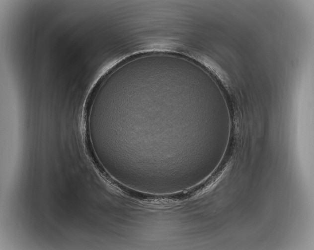 X0000116581077200912171519