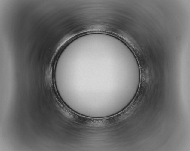 X0000116581078200912171519