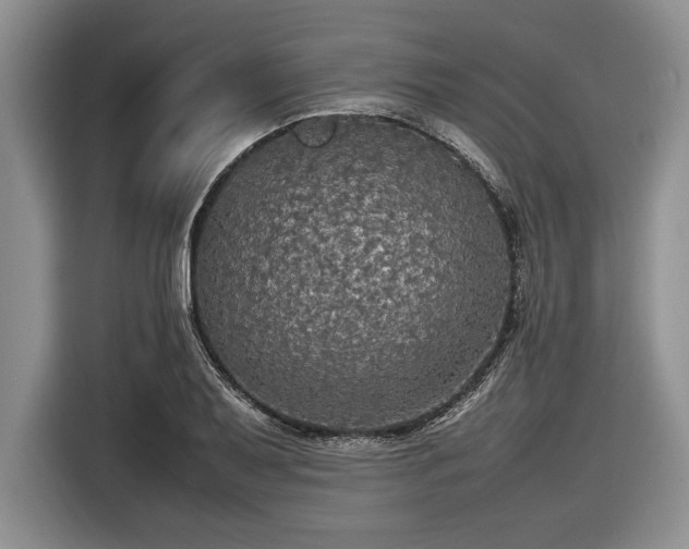 X0000116581079200912171519