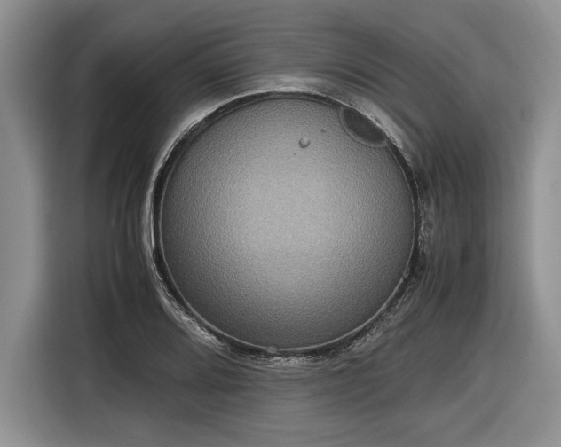 X0000116581080200912171519