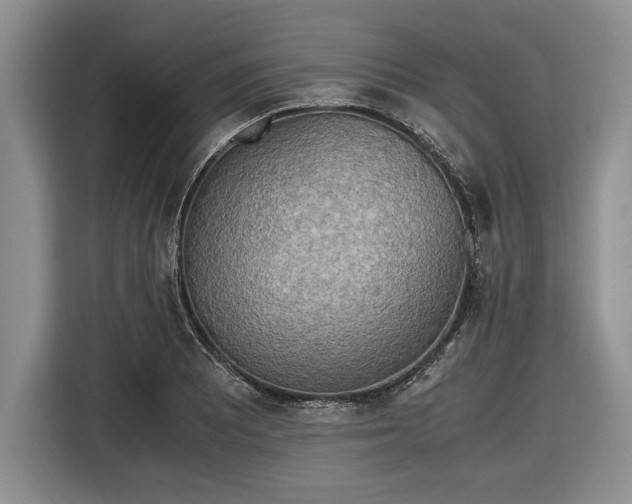 X0000116581081200912171519