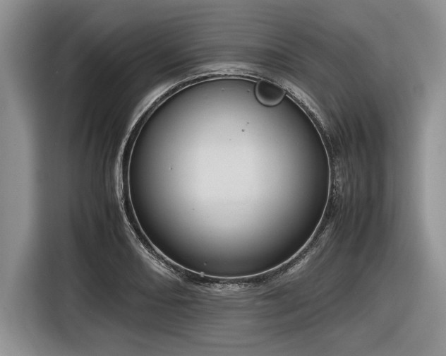 X0000116581082200912171519