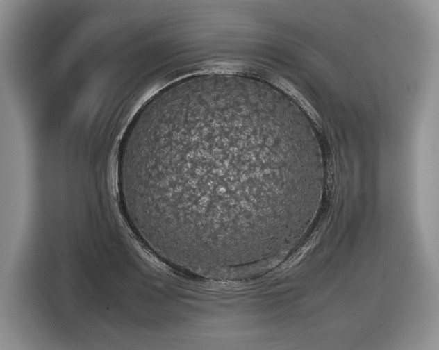 X0000116581083200912171519