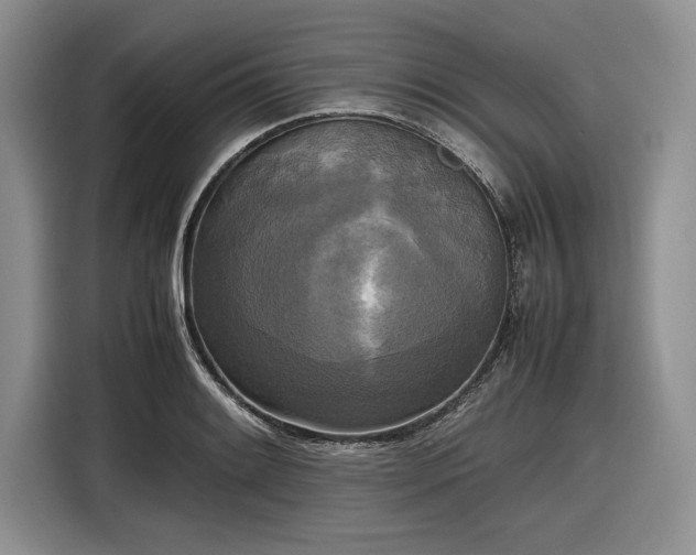 X0000116581084200912171519