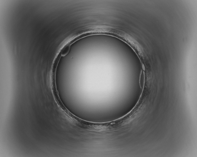 X0000116581085200912171519