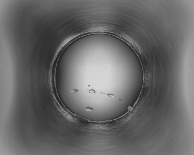 X0000116581086200912171519