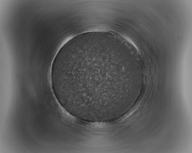 X0000116581087200912171519