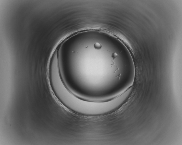 X0000116581088200912171519