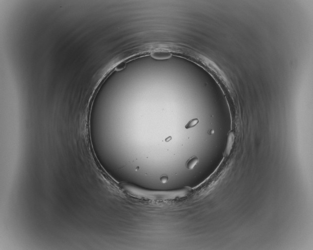 X0000116581089200912171519