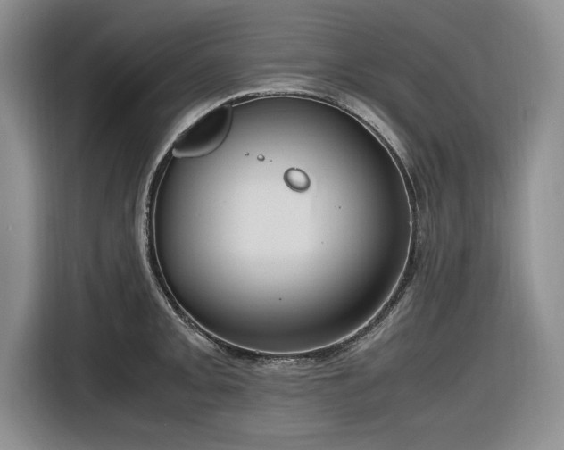 X0000116581093200912171519