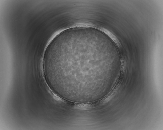 X0000116581094200912171519