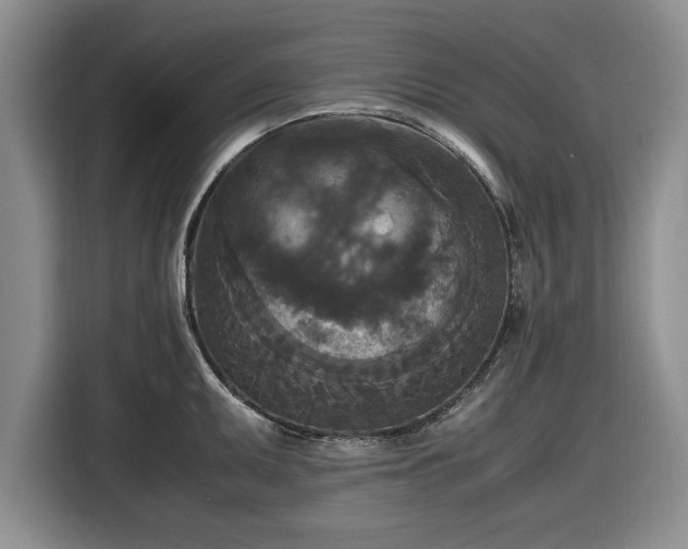 X0000116581095200912171519