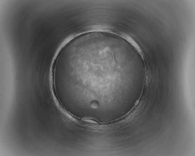 X0000116581096200912171519