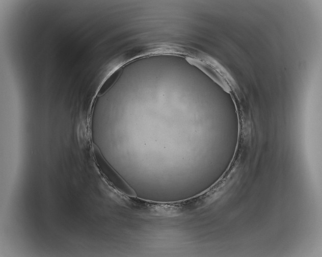 X0000116581097200912171519