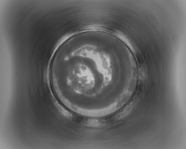 X0000116581098200912171519