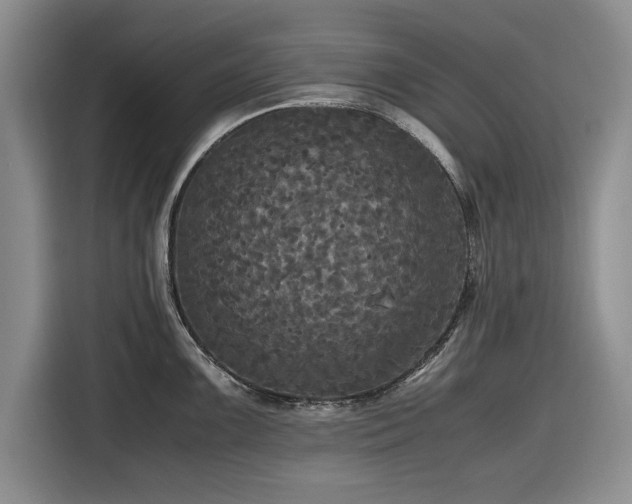 X0000116581099200912171519