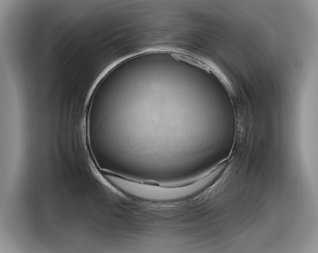 X0000116581100200912171519