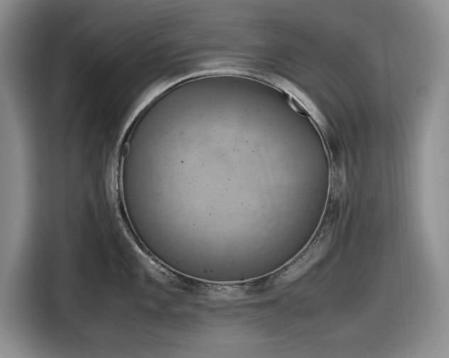 X0000116581101200912171519