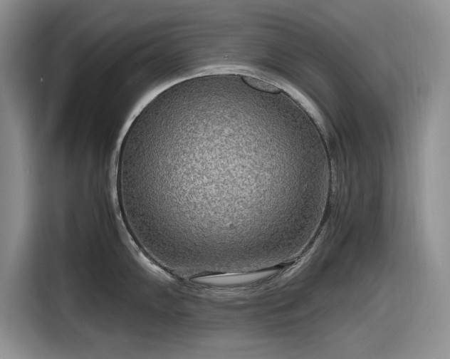 X0000116581102200912171519