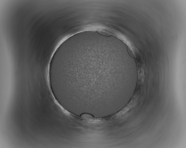 X0000116581103200912171519